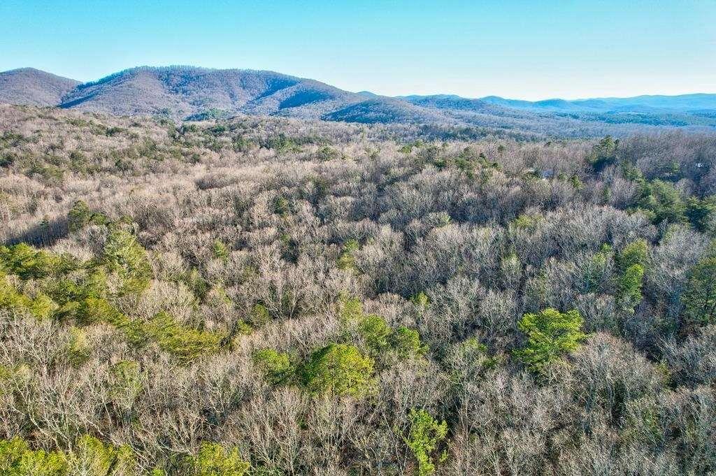 17.67 Rainbow Ridge Ellijay, GA 30536 - Photo 20 of 31 a view of a lush green hillside and a houses