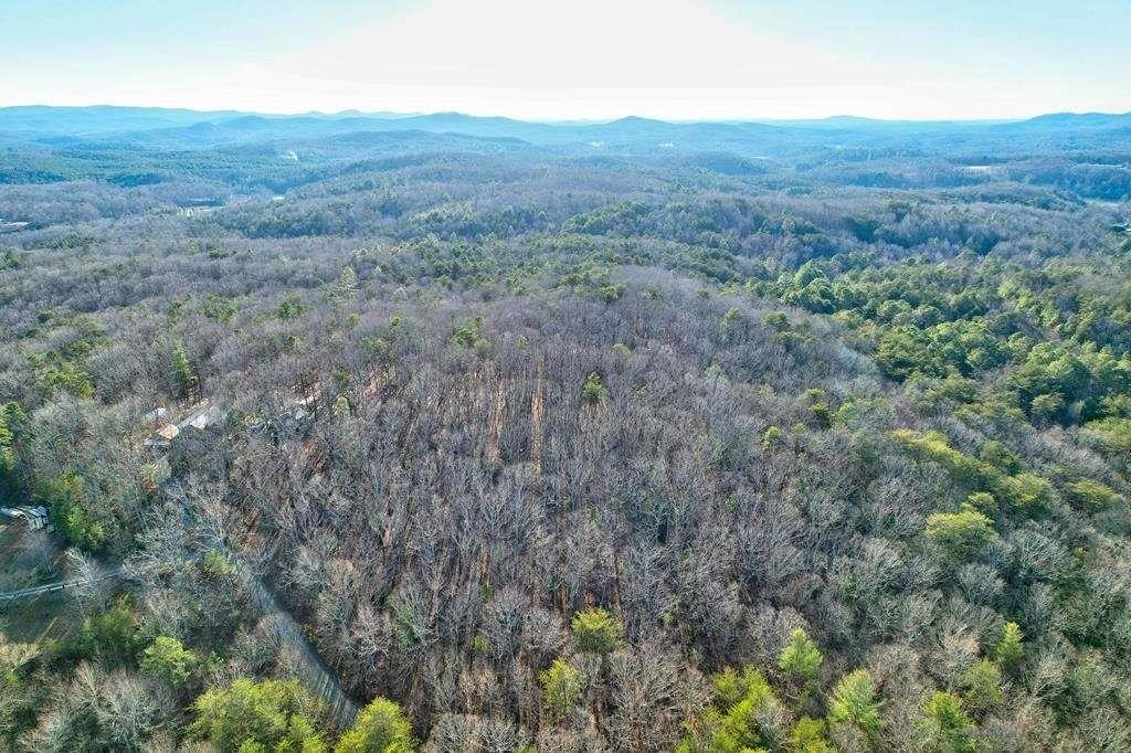 17.67 Rainbow Ridge Ellijay, GA 30536 - Photo 21 of 31 a view of a lush green field