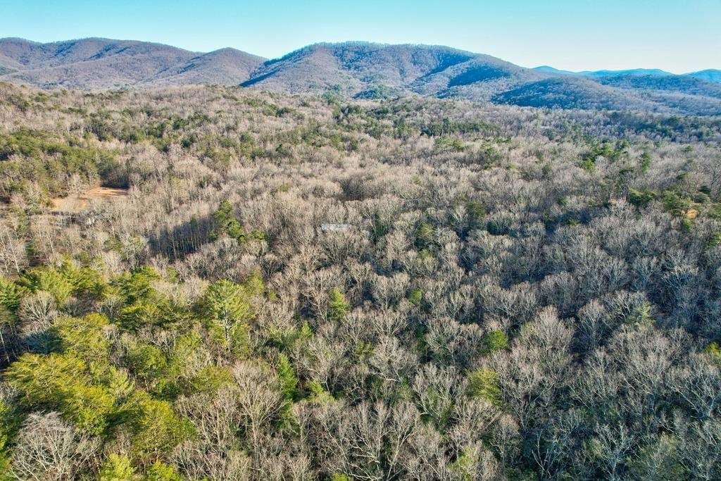 17.67 Rainbow Ridge Ellijay, GA 30536 - Photo 22 of 31 a view of a forest with mountains in the background