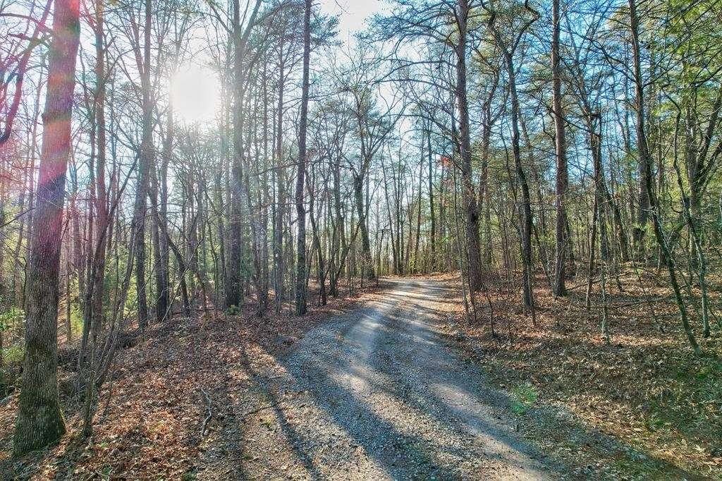 17.67 Rainbow Ridge Ellijay, GA 30536 - Photo 7 of 31 a view of outdoor space and trees