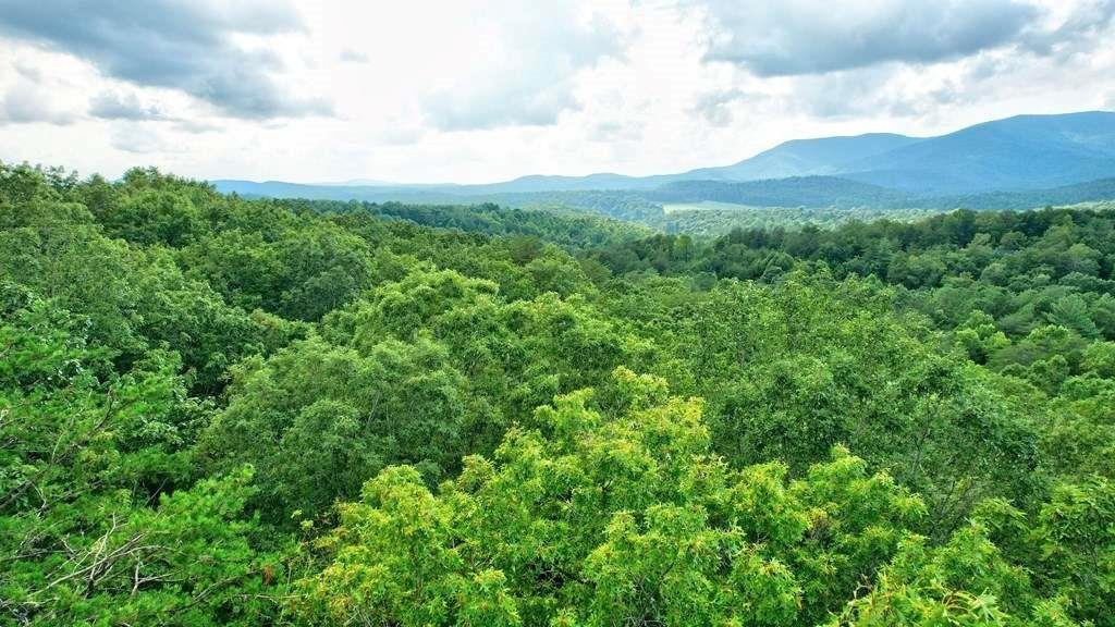 17.67 Rainbow Ridge Ellijay, GA 30536 - Photo 9 of 31 a view of a lush green forest with houses in the back