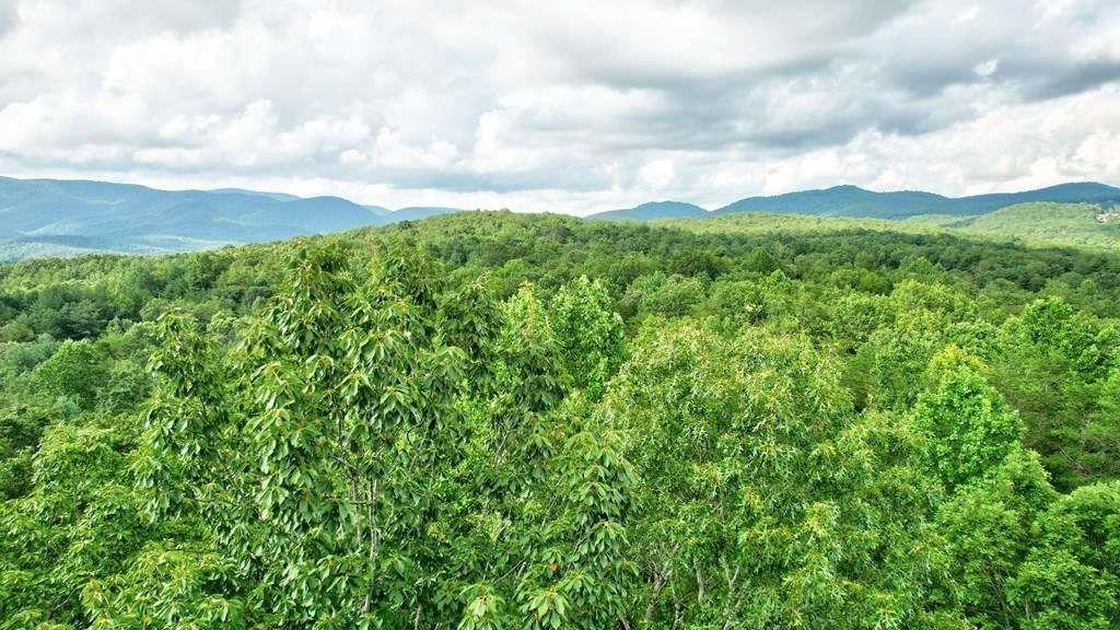 17.67 Rainbow Ridge Ellijay, GA 30536 - Photo 10 of 31 a view of a bunch of trees