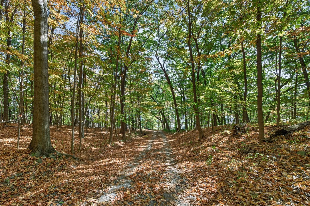 4881 Oak Road Starkey, NY 14837 - Photo 30 of 33