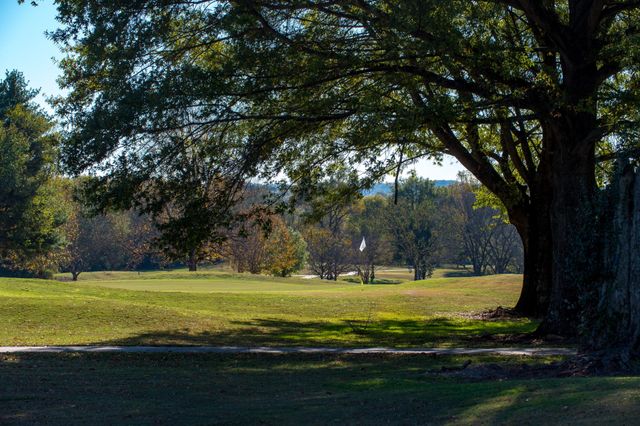 a view of a big yard with large trees