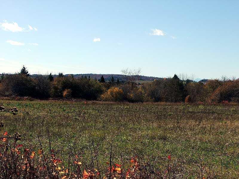 12-29 Lincoln Road Houlton, ME 04730 - Photo 10 of 25 Land.