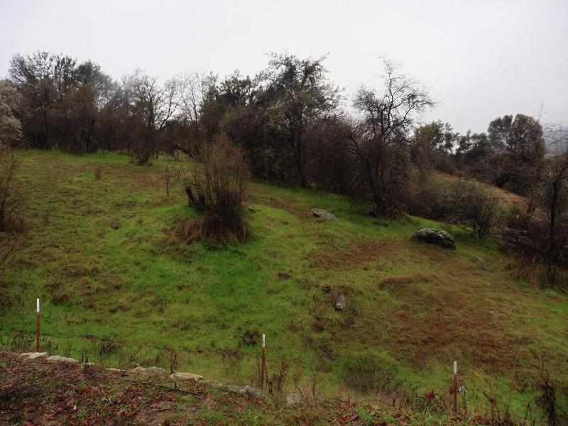 36810 Lodge Road Tollhouse, CA 93667 - Photo 31 of 37 Gallery Image 31