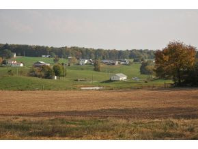 195 Jack Kyker Road Fall Branch, TN 37656 - Photo 4 of 24 Photo 4