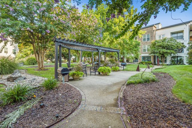a view of a garden with plants and large trees