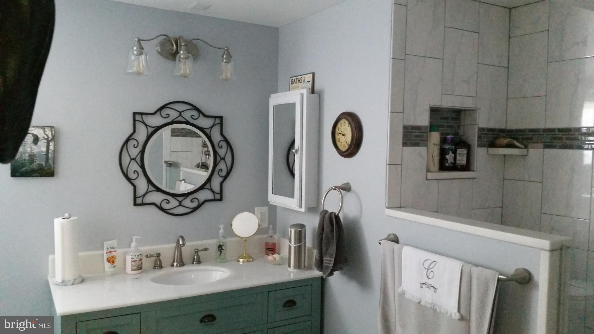 225 West Ash Road Sterling, VA 20164 - Photo 12 of 22 Bath (Master)