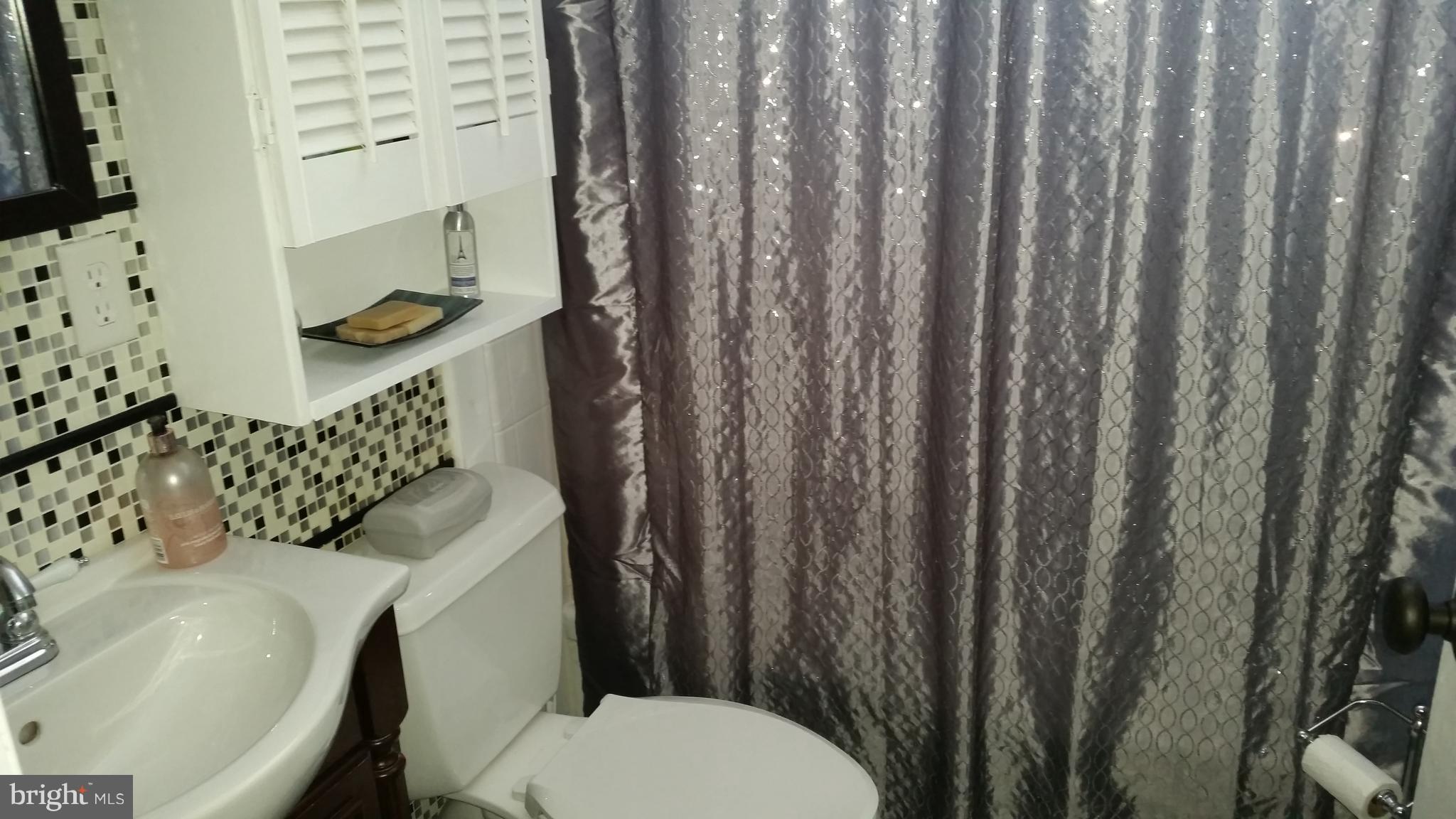 225 West Ash Road Sterling, VA 20164 - Photo 16 of 22 Hallway bathroom
