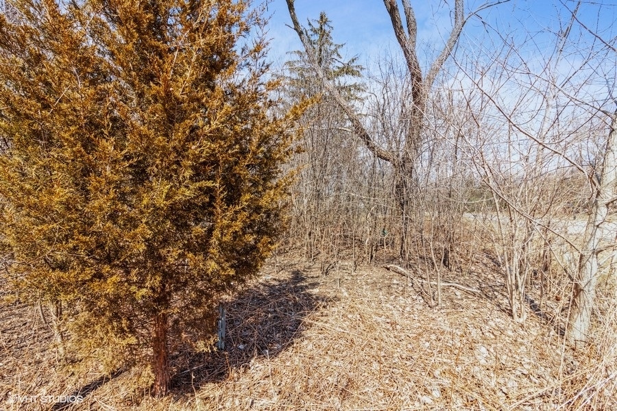 4-n160 Mayfair Drive Addison, IL 60101 - Photo 3 of 10