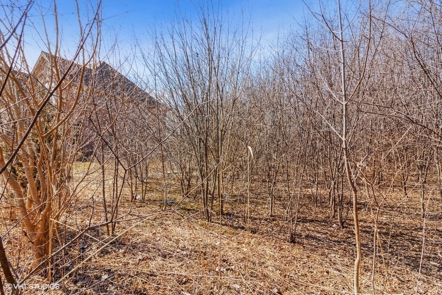 4-n160 Mayfair Drive Addison, IL 60101 - Photo 4 of 10