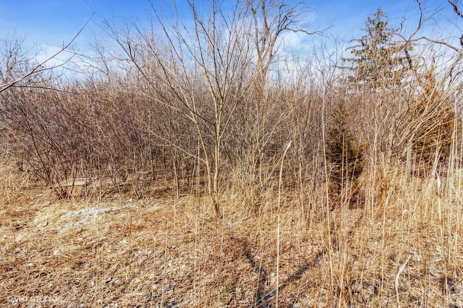 4-n160 Mayfair Drive Addison, IL 60101 - Photo 7 of 10