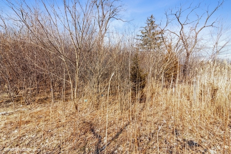 4-n160 Mayfair Drive Addison, IL 60101 - Photo 8 of 10