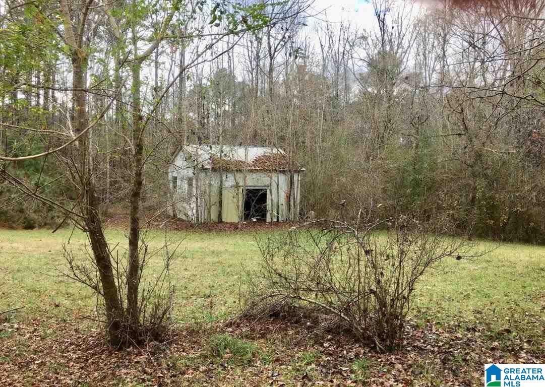 3972 Ccc Road Rockford, AL 35136 - Photo 10 of 15