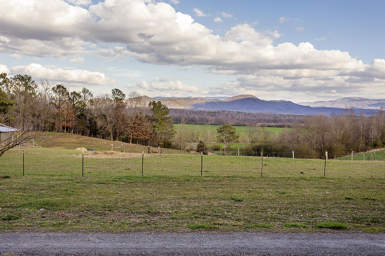 137 Moore Road Old Fort, TN 37362 - Photo 2 of 30 IMG_4207
