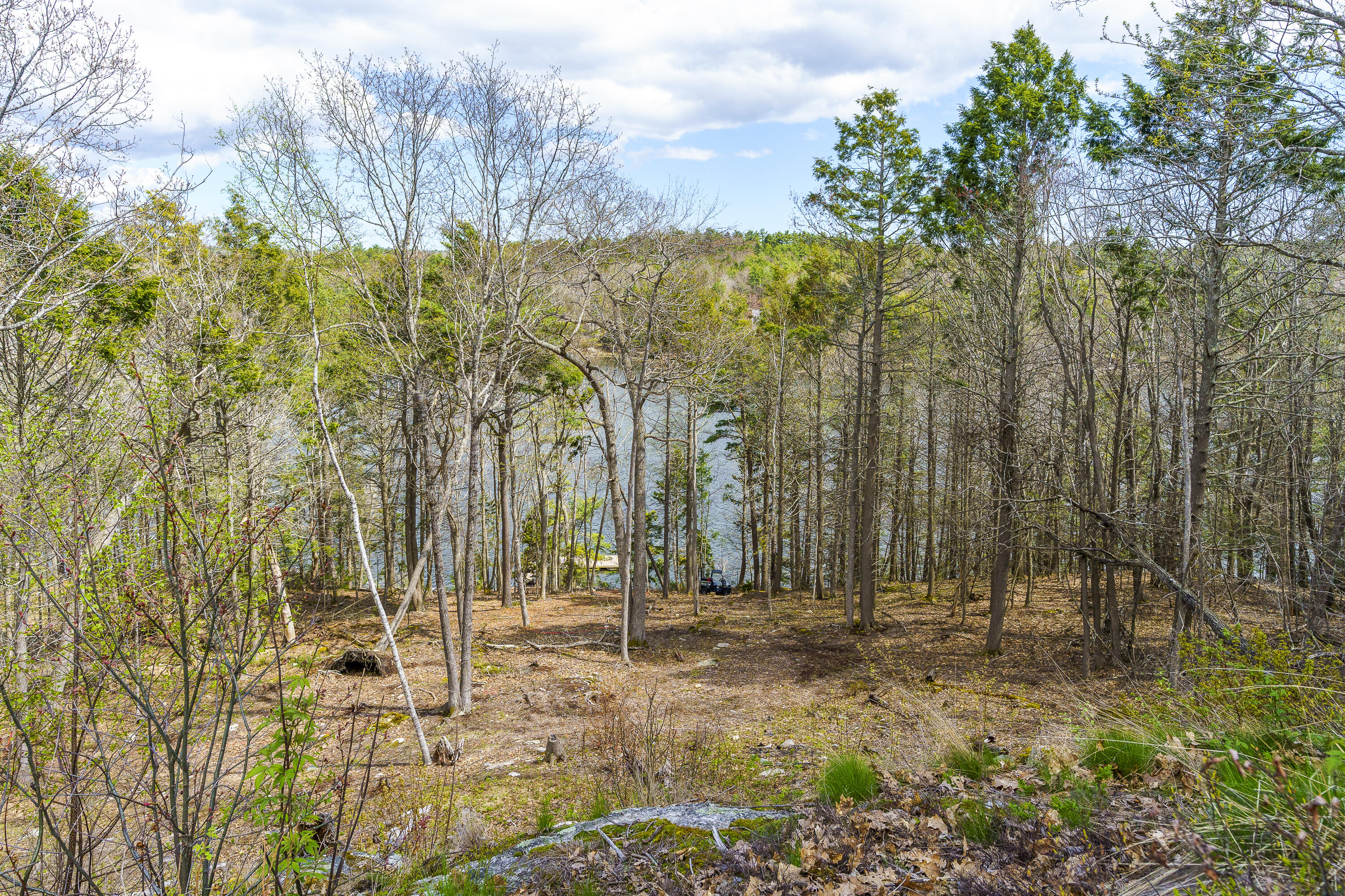 0 Cushman Point Road Wiscasset, ME 04578 - Photo 11 of 22 18-00 Cushman Point Rd, Wiscasset, ME-TP