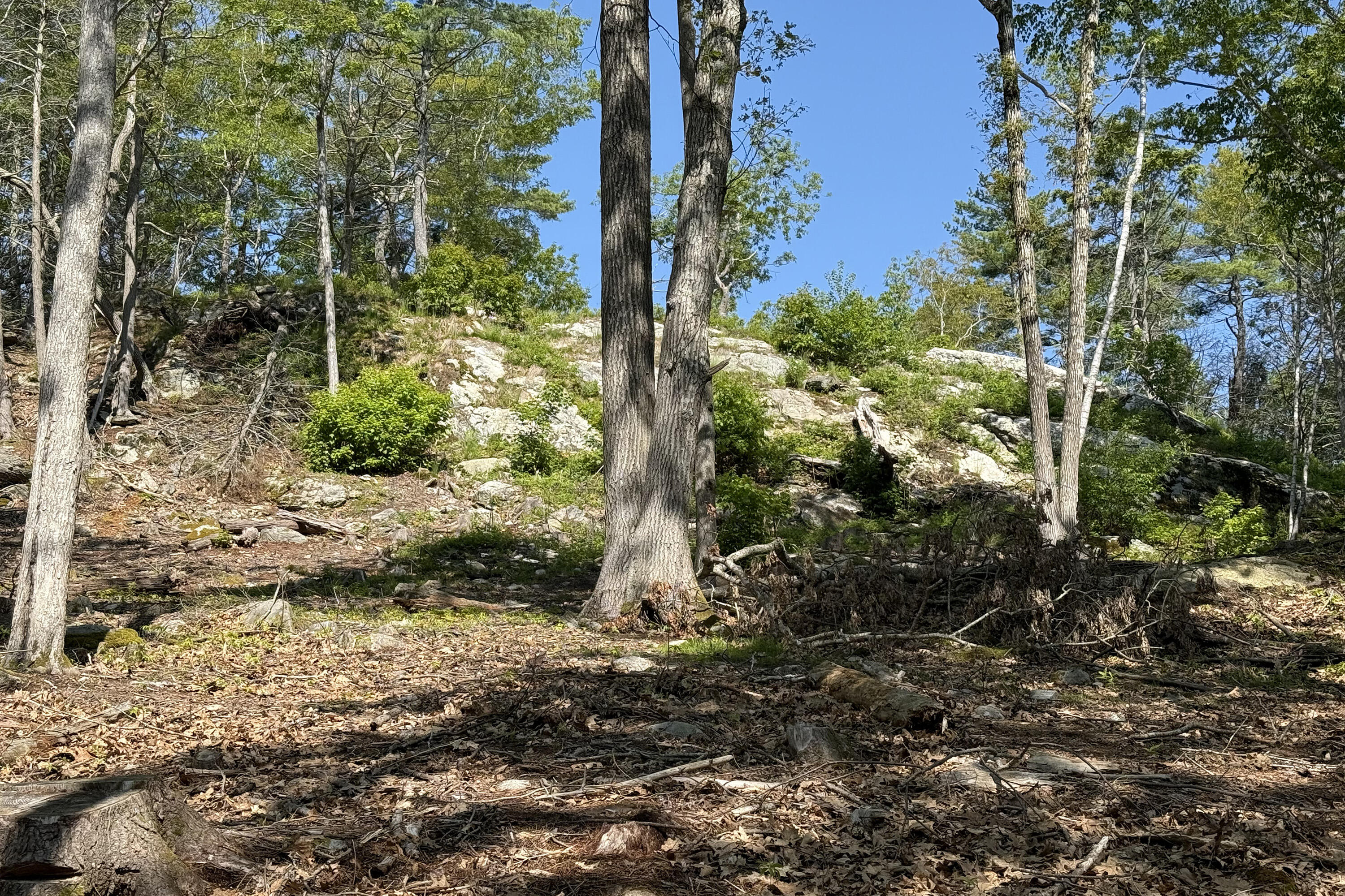 0 Cushman Point Road Wiscasset, ME 04578 - Photo 15 of 22 Cushman 2