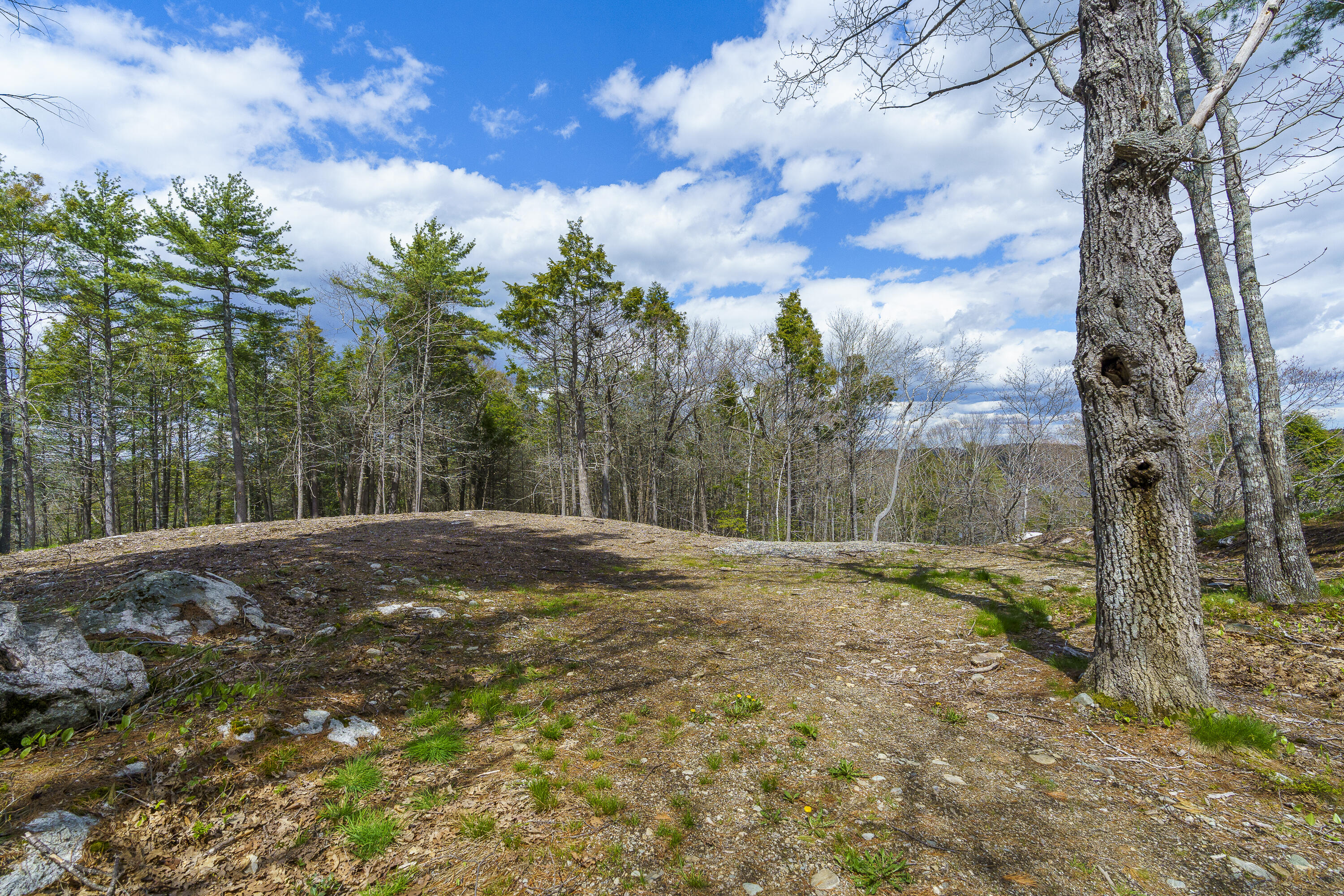 0 Cushman Point Road Wiscasset, ME 04578 - Photo 8 of 22 15-00 Cushman Point Rd, Wiscasset, ME-TP