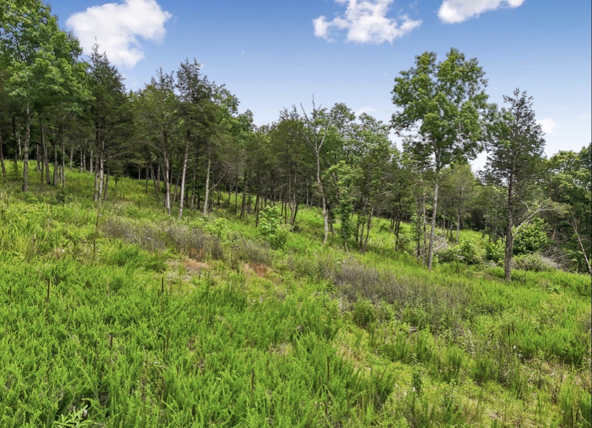 97 Redd Branch Road Fayetteville, TN 37334 - Photo 10 of 11