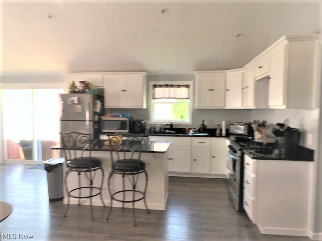 42688 Webster Road Lagrange, OH 44050 - Photo 3 of 28 Gallery Image 3