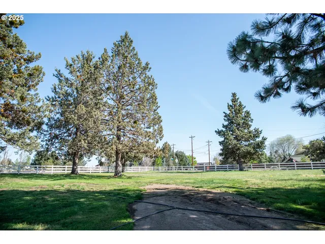 a big yard with lots of green space