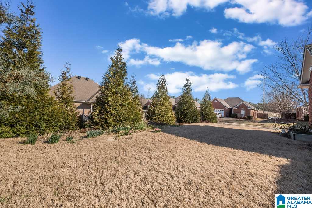 185 Daventry Drive Calera, AL 35040 - Photo 28 of 29