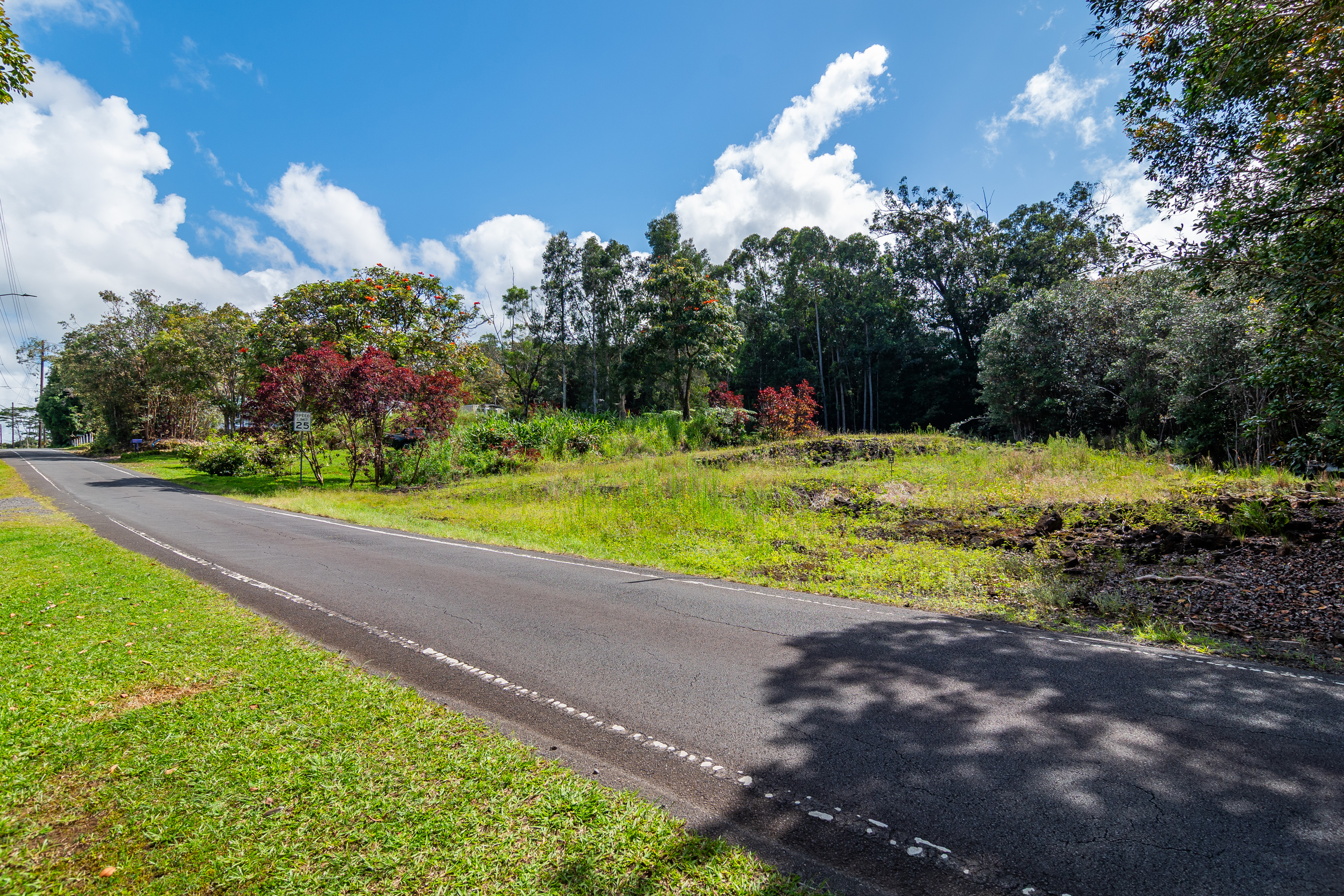 Lot J Akolea Road Hilo, HI 96720 - Photo 5 of 14