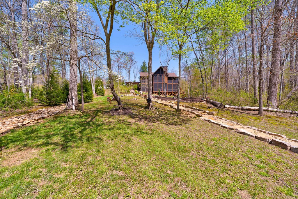 98 Staurolite Mountain Road Blue Ridge, GA 30513 - Photo 65 of 80 Gallery Image 65