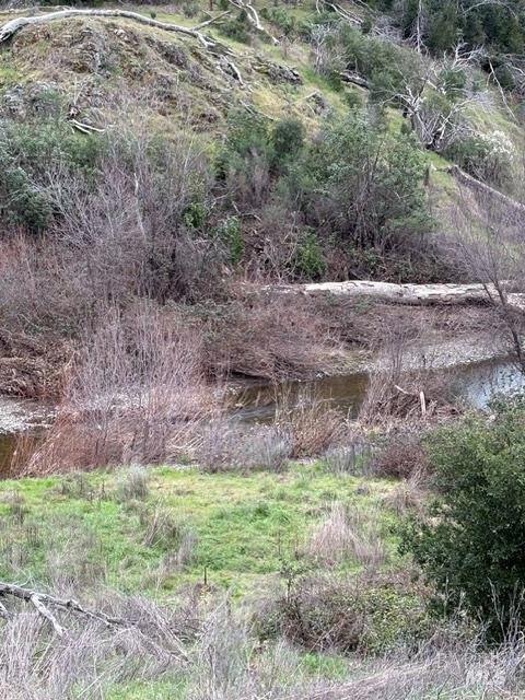 12803 Tomki Road Redwood Valley, CA 95470 - Photo 4 of 4