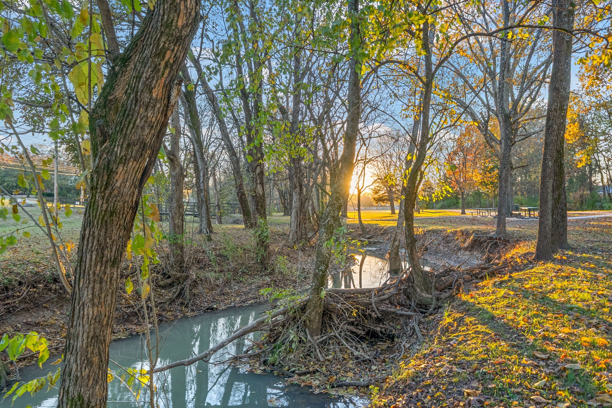 4129 Grapevine Loop Smyrna, TN 37167 - Photo 37 of 38