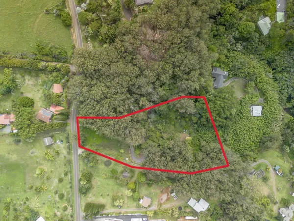 a view of a small garden