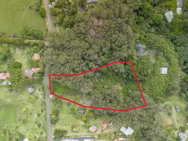 a view of a small garden