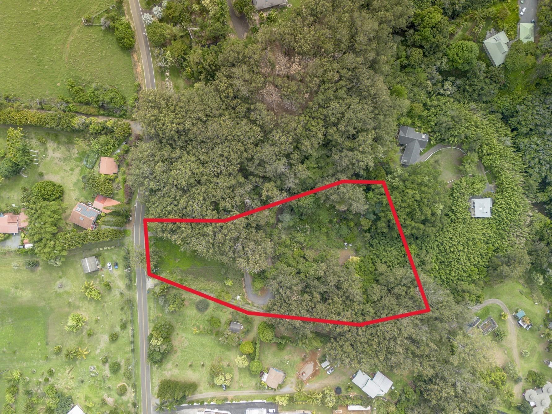 1448 West Kuiaha Road Haiku, HI 96708 - Photo 1 of 23 a view of a small garden