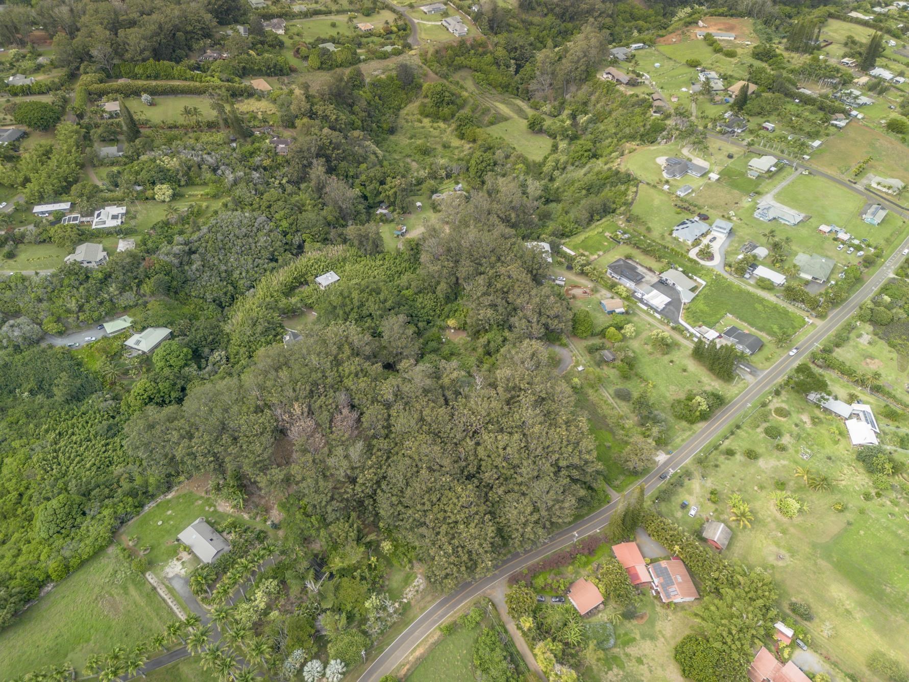 1448 West Kuiaha Road Haiku, HI 96708 - Photo 13 of 23