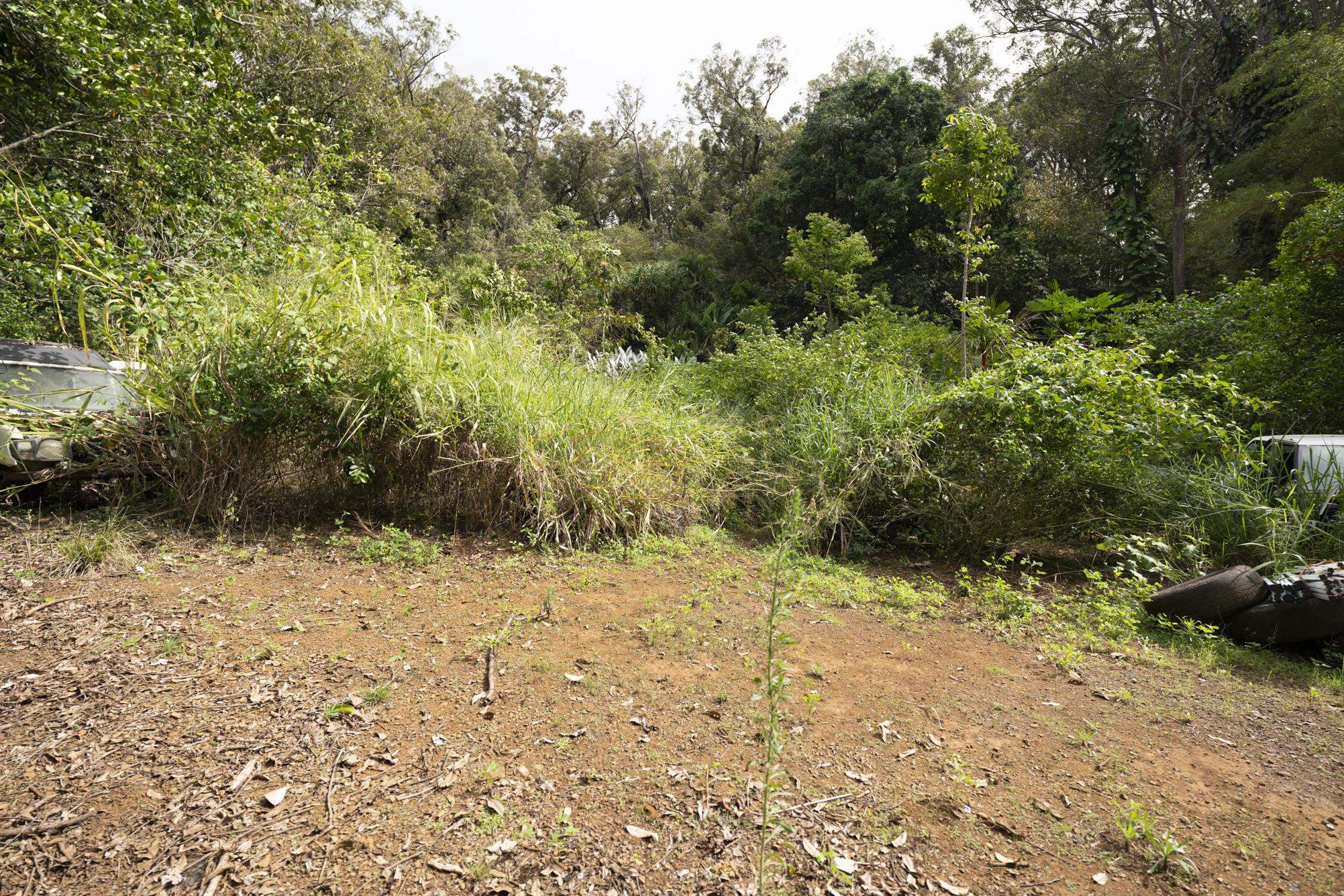 1448 West Kuiaha Road Haiku, HI 96708 - Photo 17 of 23 a view of a yard with plants and trees