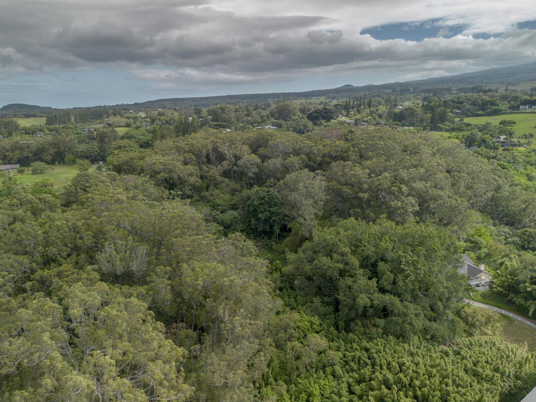 1448 West Kuiaha Road Haiku, HI 96708 - Photo 23 of 23