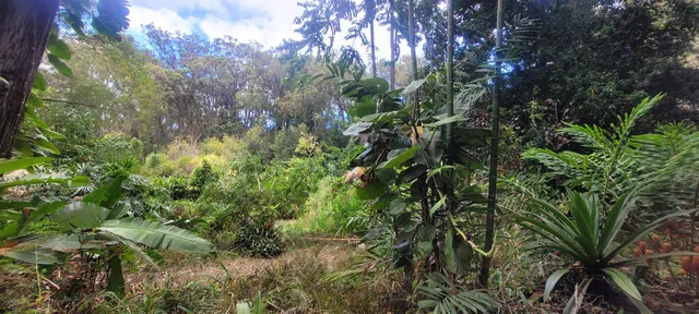 $1,100,000 | 1448 West Kuiaha Road, Haiku, HI 96708