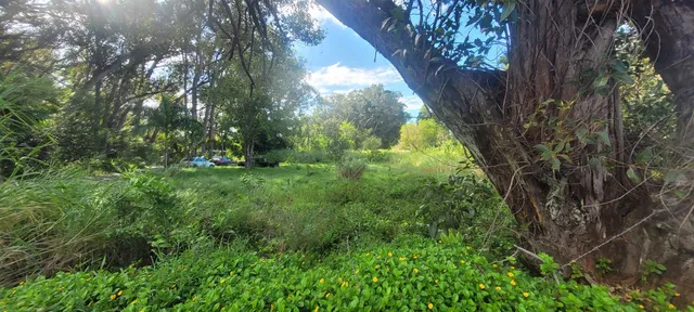 $1,100,000 | 1448 West Kuiaha Road, Haiku, HI 96708