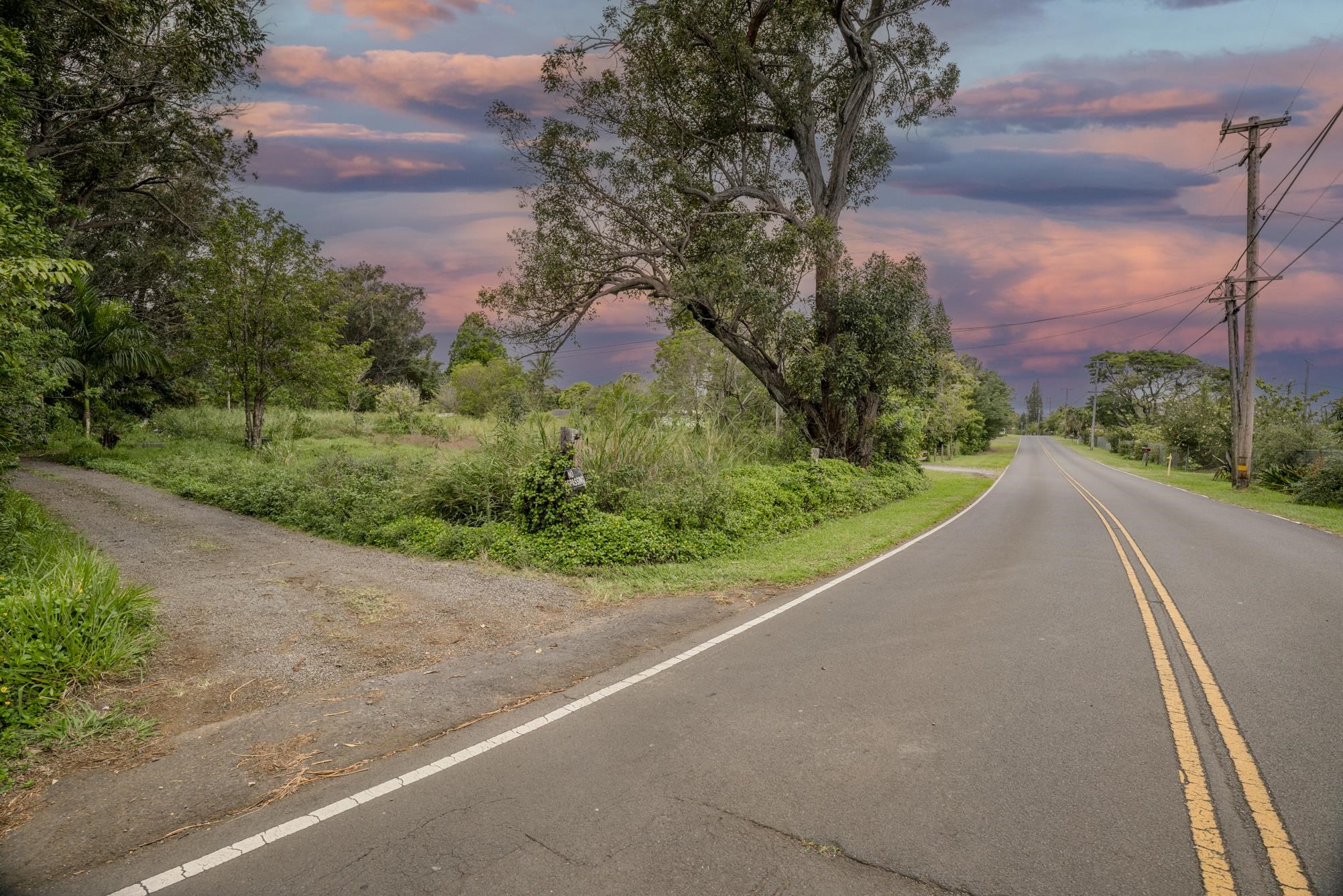 1448 West Kuiaha Road Haiku, HI 96708 - Photo 6 of 23 a view of a street with flower plants in front of main door