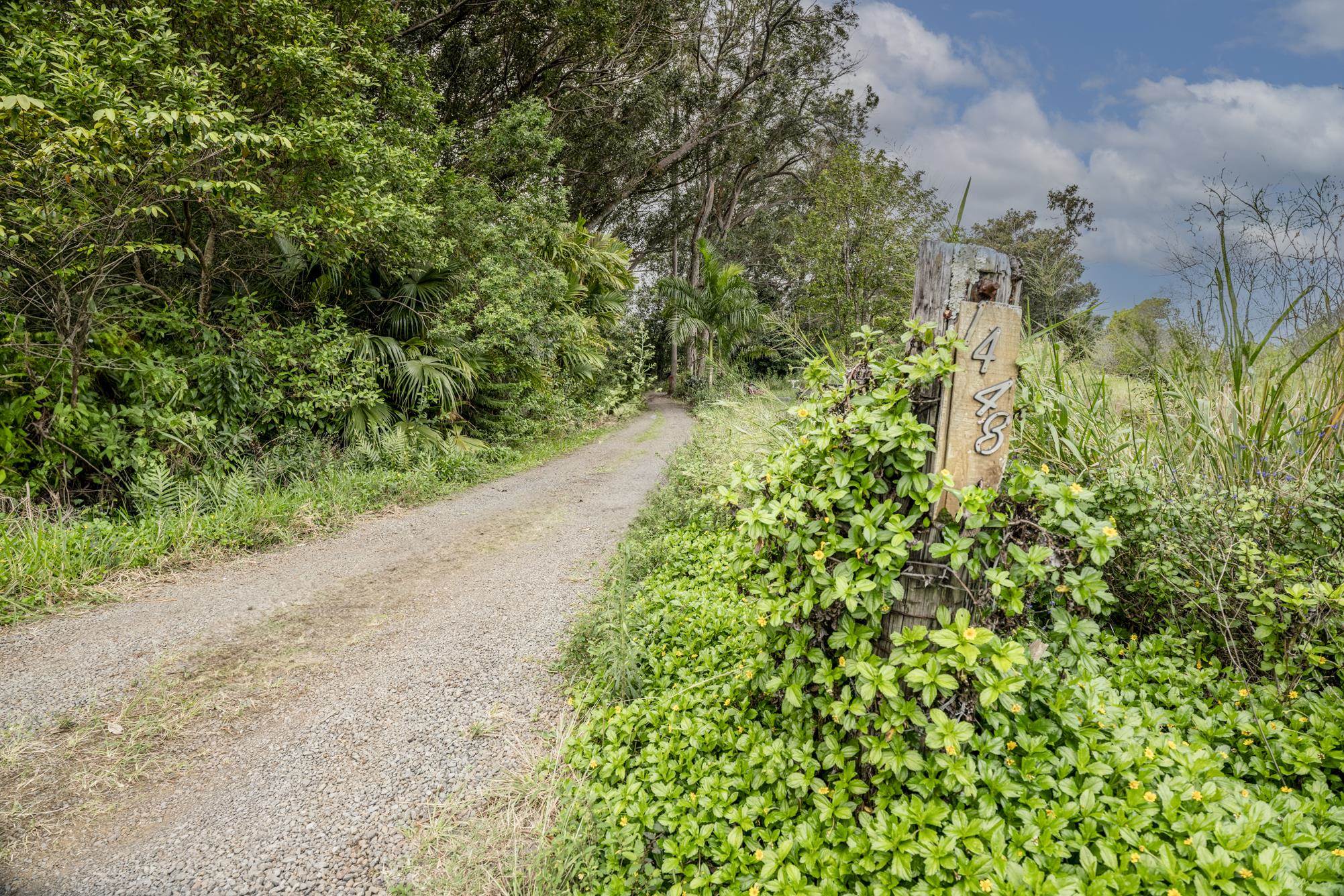 1448 West Kuiaha Road Haiku, HI 96708 - Photo 8 of 23 a view of a garden with pathway