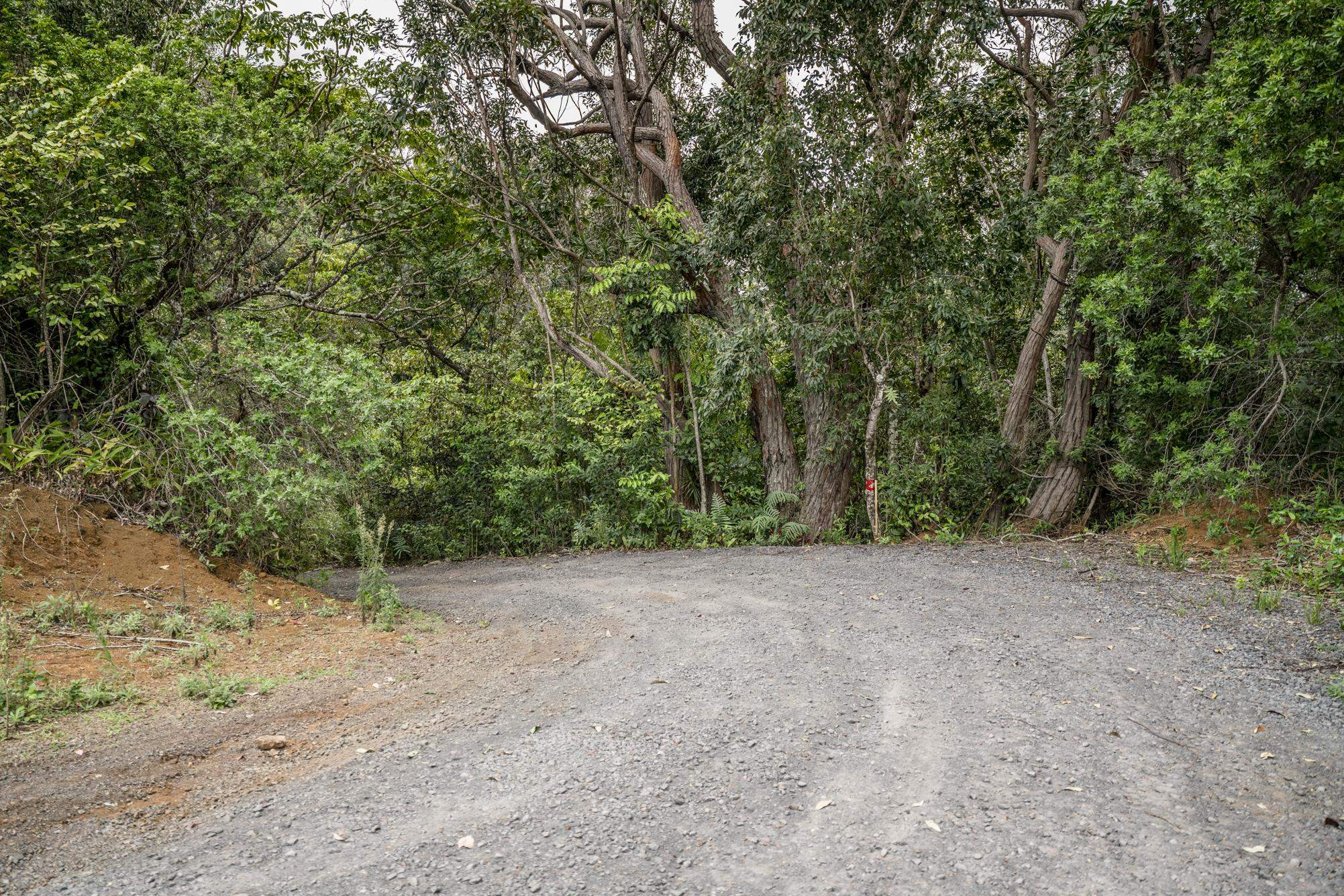 1448 West Kuiaha Road Haiku, HI 96708 - Photo 10 of 23 a view of a field with trees in the background