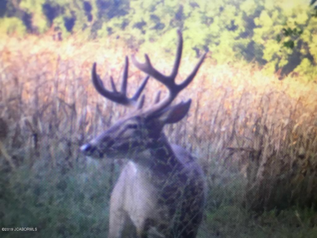 Tbd North Tbd Route Fulton, MO 65251 - Photo 1 of 1
