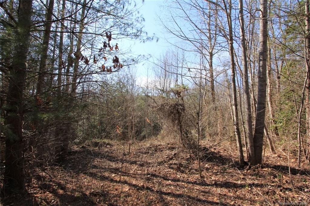 6100 Adako Road Lenoir, NC 28645 - Photo 12 of 16 Gallery Image 12