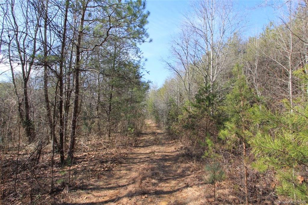 6100 Adako Road Lenoir, NC 28645 - Photo 13 of 16 Gallery Image 13
