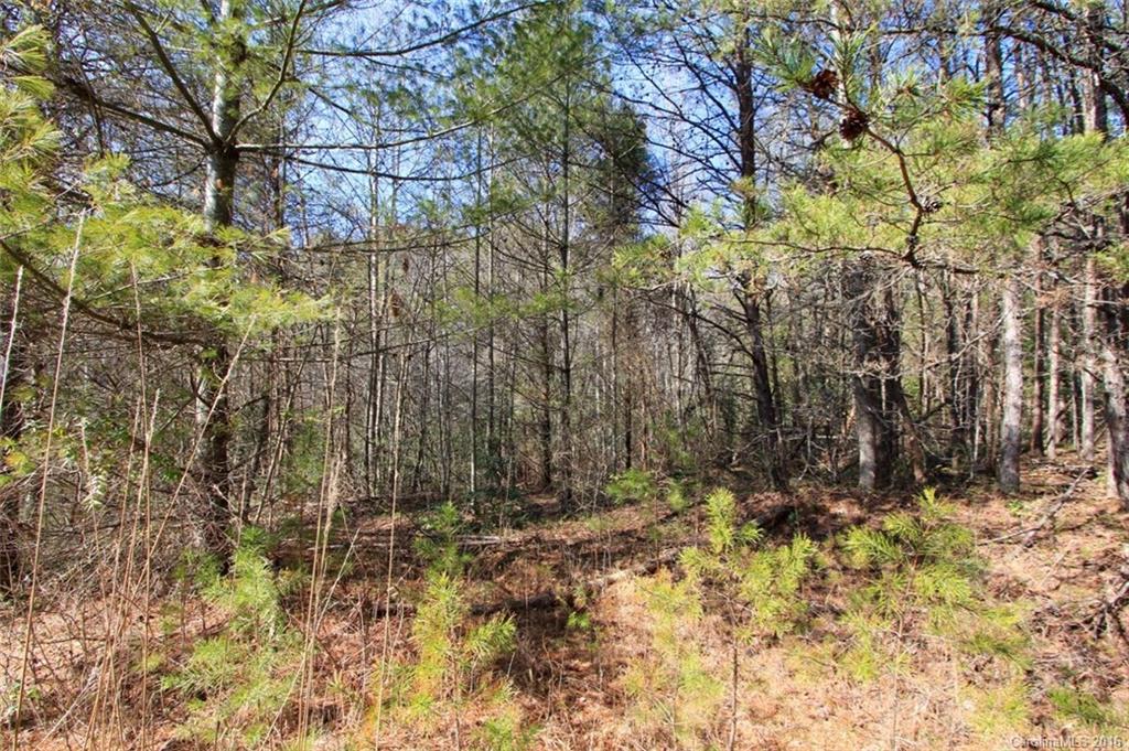 6100 Adako Road Lenoir, NC 28645 - Photo 14 of 16 Gallery Image 14