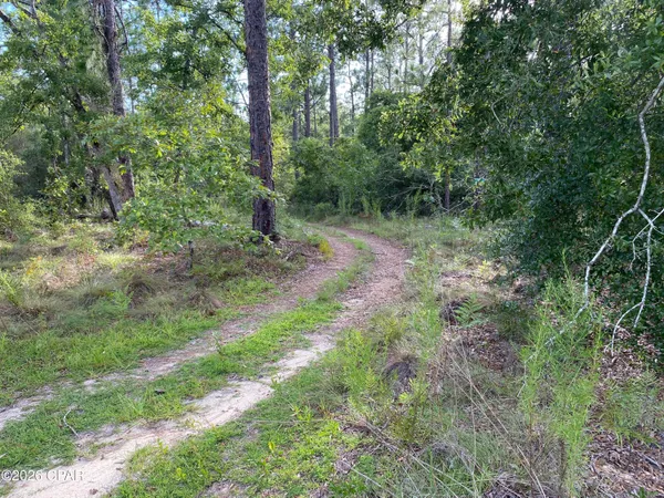 $14,000 | Lot 31 Putnam Avenue, Alford, FL 32420