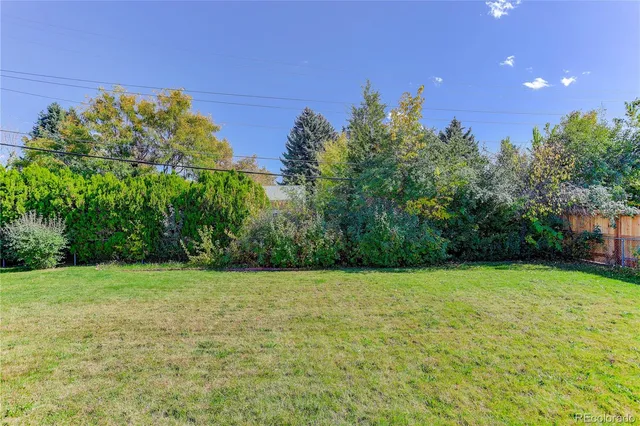 a view of a park with plants and trees