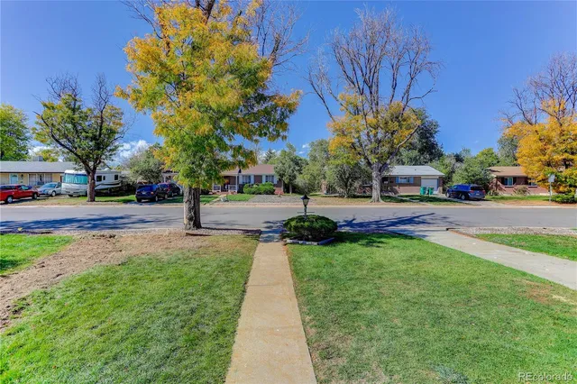 a view of a field with plants and trees