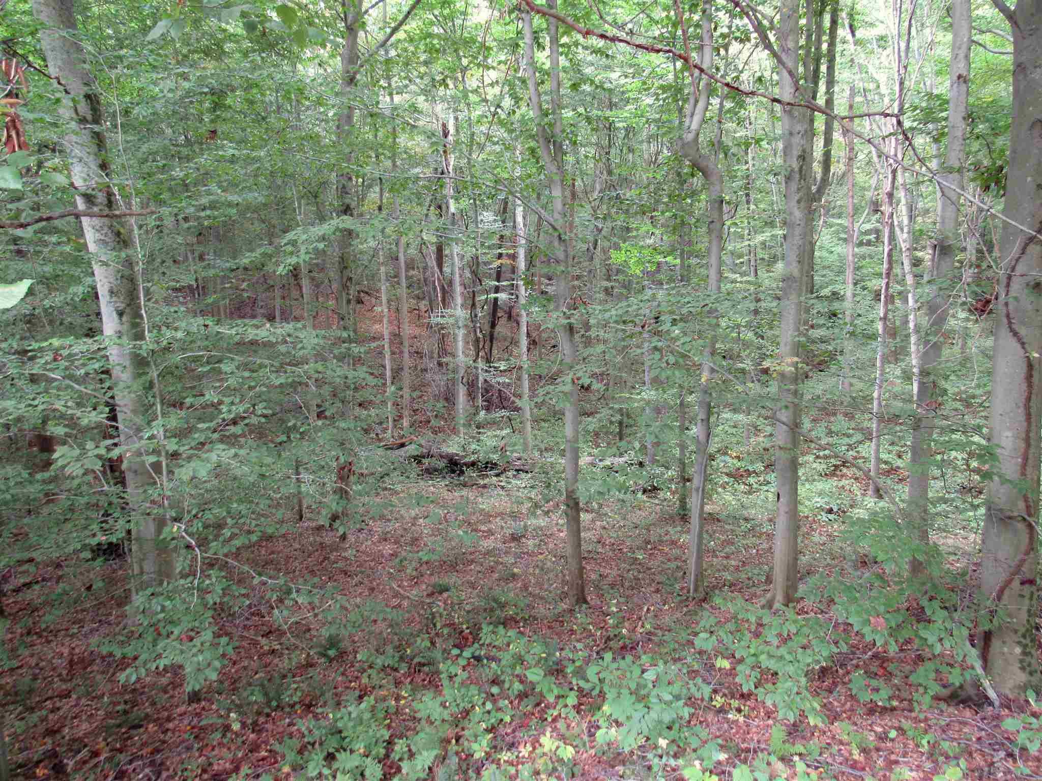 3894 East Dora Road Bloomington, IN 47408 - Photo 30 of 32